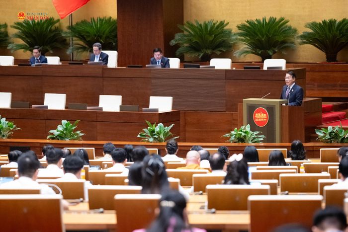 Bộ trưởng Bộ Công an, Đại tướng Lương Tam Quang trình bày tờ trình dự án Luật Định danh và xác thực điện tử. Ảnh: Phạm Thắng