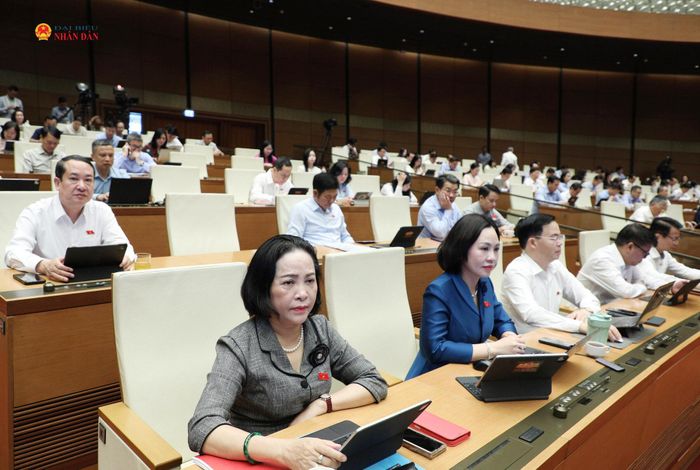 Phó Chủ tịch Quốc hội Nguyễn Thị Thanh và các đại biểu dự phiên họp. Ảnh: Khánh Duy