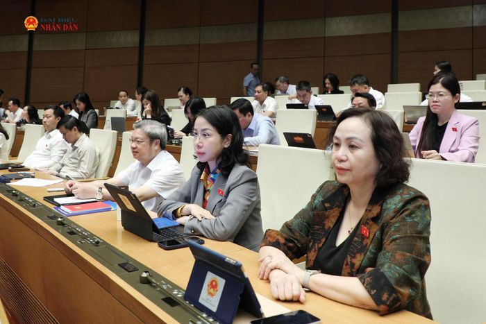 Các đại biểu dự phiên họp. Ảnh: Khánh Duy