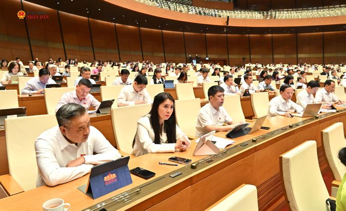 Các đại biểu dự phiên họp. Ảnh: Quang Khánh