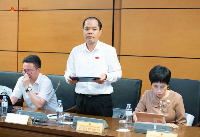 ĐBQH Đinh Công Sỹ (Phú Thọ) phát biểu. Ảnh: Xuân Quý