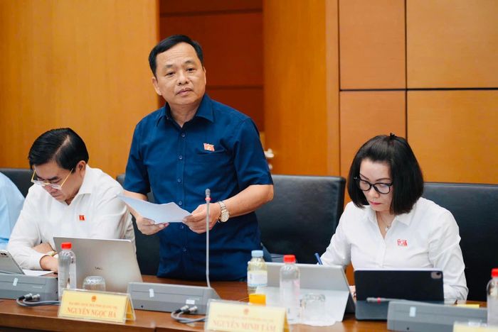 ĐBQH Nguyễn Ngọc Hà (Quảng Trị) phát biểu