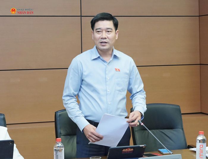 ĐBQH Lê Thanh Hoàn (Thanh Hóa) phát biểu thảo luận
