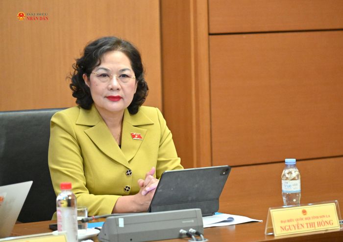 Phó Chủ tịch Quốc hội Nguyễn Thị Hồng tham dự phiên thảo luận tổ. Ảnh: Quang Khánh