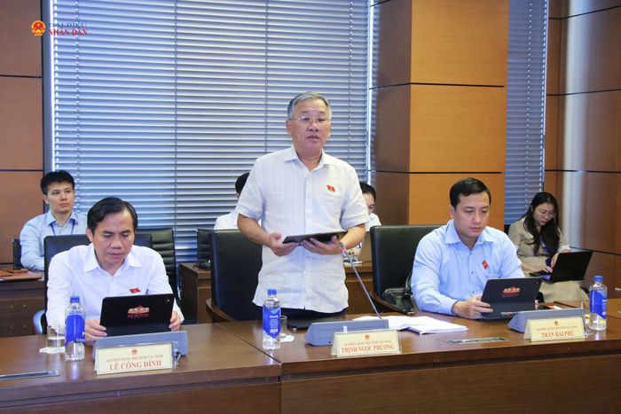 ĐBQH Trịnh Ngọc Phương (Tây Ninh) phát biểu. Ảnh: Đắc Trường