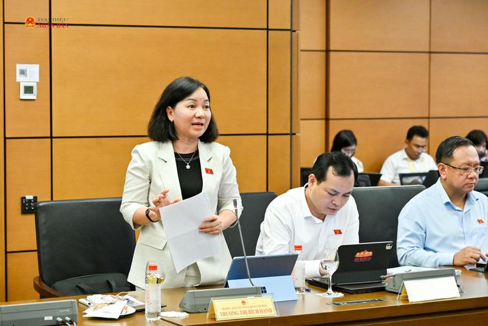 ĐBQH Trương Thị Bích Hạnh (TP. Hồ Chí Minh) phát biểu