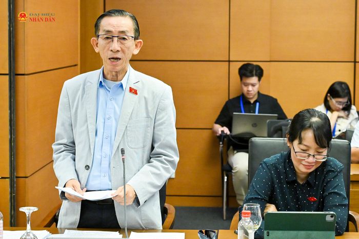 ĐBQH Trần Hoàng Ngân (TP. Hồ Chí Minh) phát biểu