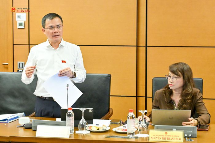 ĐBQH Tào Đức Thắng (TP. Hồ Chí Minh) phát biểu