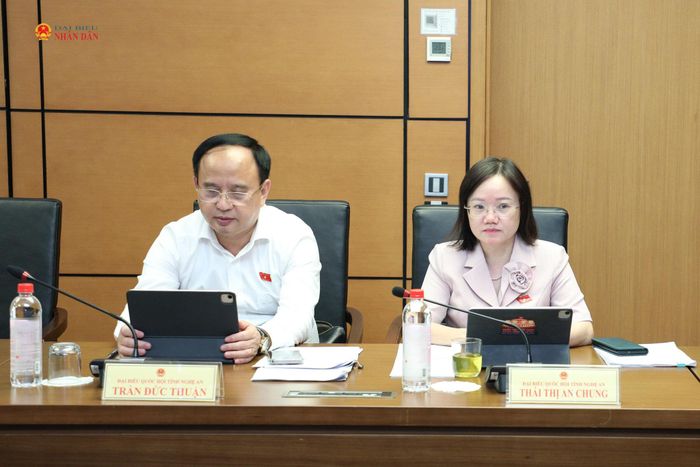 Các ĐBQH tỉnh Nghệ An tham dự phiên thảo luận tổ
