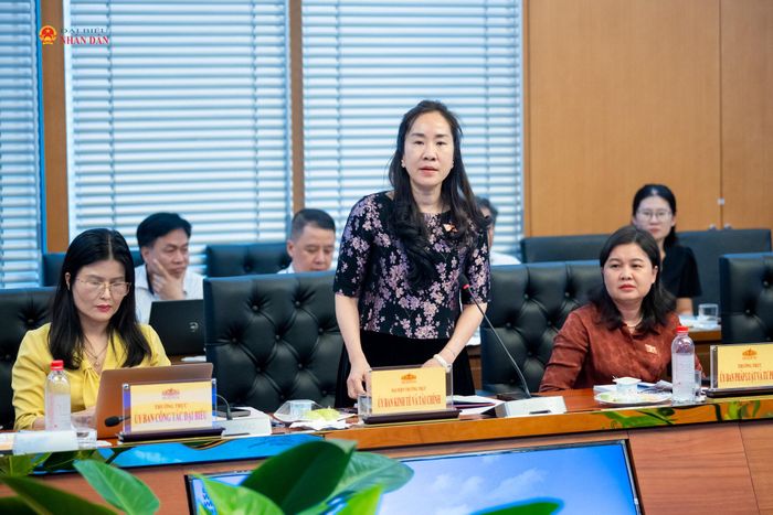 Phó Chủ nhiệm Ủy ban Kinh tế và Tài chính Đoàn Thị Thanh Mai phát biểu