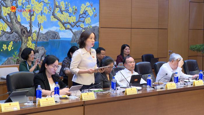 ĐBQH Nguyễn Thị Kim Anh phát biểu tại phiên thảo luận tổ.