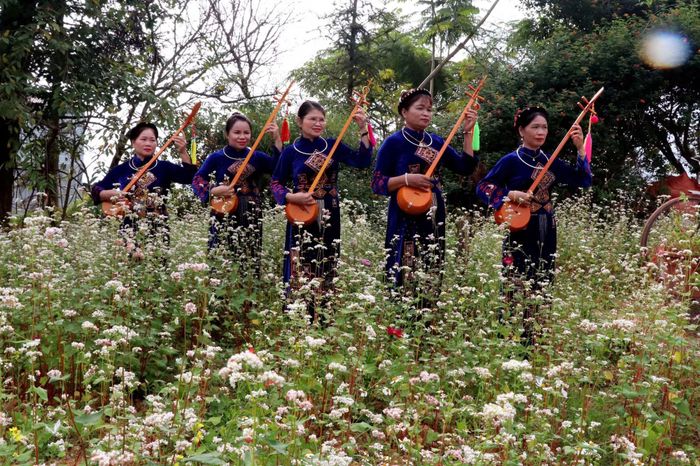 Hoa Tam giác mạch nở rộ cùng nhiều hoạt động văn hoá trong mùa lễ hội năm 2026 được địa phương chuẩn bị để phục vụ du khách.