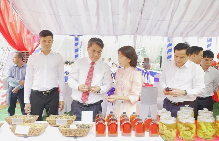 Bí thư Tỉnh ủy Phan Thăng An và các đại biểu tham quan các sản phẩm từ dược liệu của tỉnh.