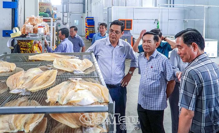 Thời gian qua, chính quyền các cấp trong tỉnh thường xuyên thăm hỏi, trao đổi để kịp thời tháo gỡ khó khăn cho doanh nghiệp, hộ kinh doanh, tạo điều kiện để khu vực KTTN sản xuất, kinh doanh ổn định.