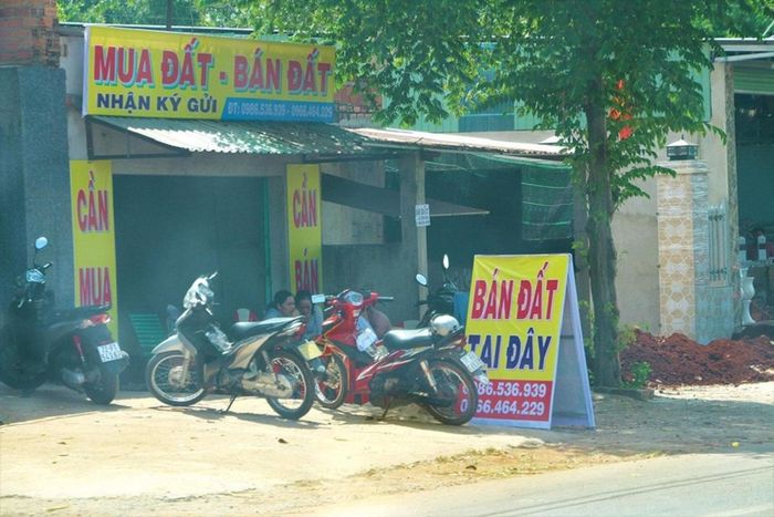 Các nhà môi giới căng bảng hiệu ra lề đường để tìm khách hàng
