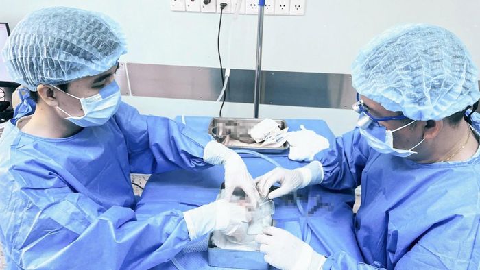 Bệnh viện Trung ương Huế tiếp tục hoàn thiện năng lực ghép tạng, tăng cường liên kết bệnh viện và ứng dụng kỹ thuật tiên tiến