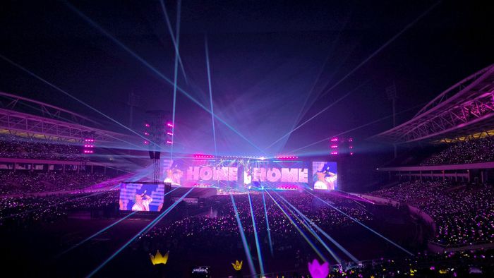 Trong suốt đêm diễn biển lightstick rực rỡ chuyển động. Ảnh: Quỳnh Phương