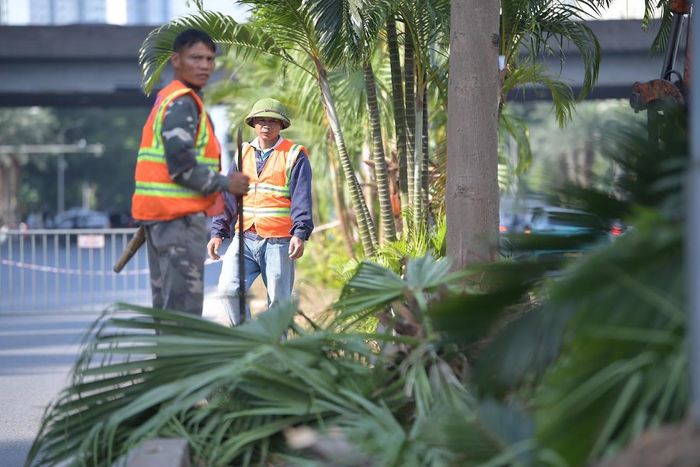 Công nhân khẩn trương thực hiện các công việc tại khu vực có cây xanh và vỉa hè nằm trong phạm vi ảnh hưởng của dự án. Ảnh: NT