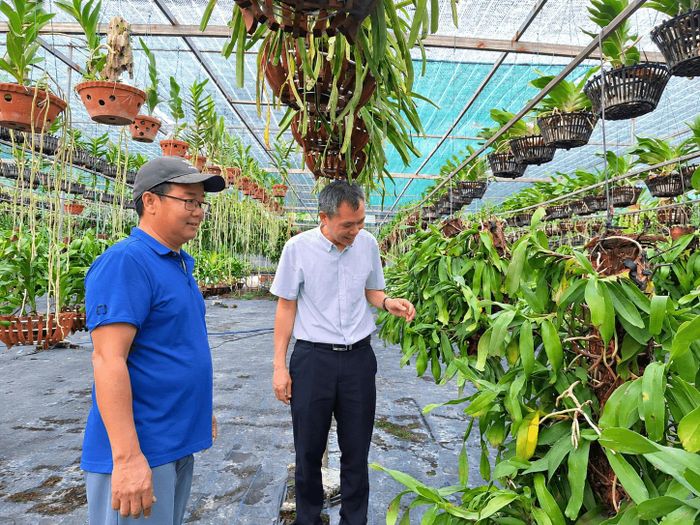 Những không gian xanh không chỉ tạo ra giá trị kinh tế mà còn góp phần gìn giữ cảnh quan, bản sắc của vùng quê ven đô. Ảnh: Nguyễn Mai