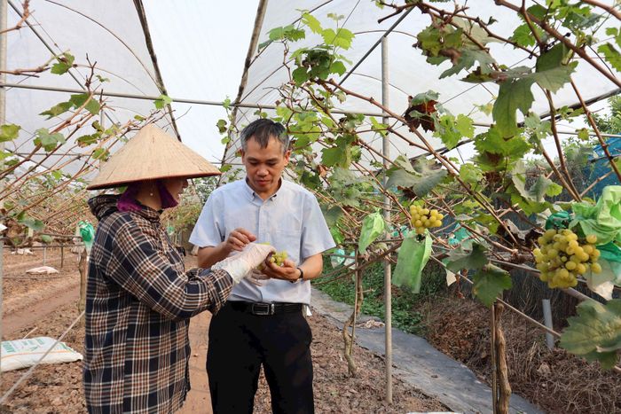 Kết hợp sản xuất với đón khách trải nghiệm giúp gia đình ông Nguyễn Hữu Hùng gia tăng giá trị và đáp ứng nhu cầu vui chơi, giải trí của người dân. Ảnh: Nguyễn Mai