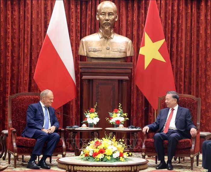 Tổng Bí thư, Chủ tịch nước Tô Lâm tiếp Thủ tướng Ba Lan Donald Tusk. Ảnh: TTXVN