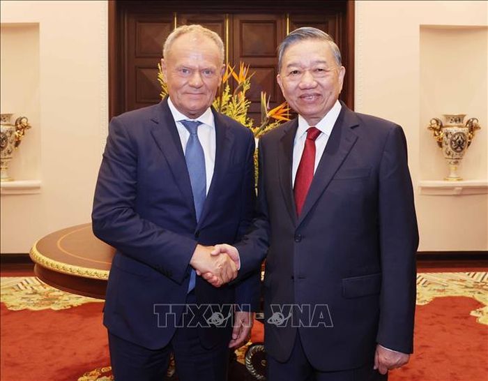 Tổng Bí thư, Chủ tịch nước Tô Lâm tiếp Thủ tướng Ba Lan Donald Tusk. Ảnh: TTXVN