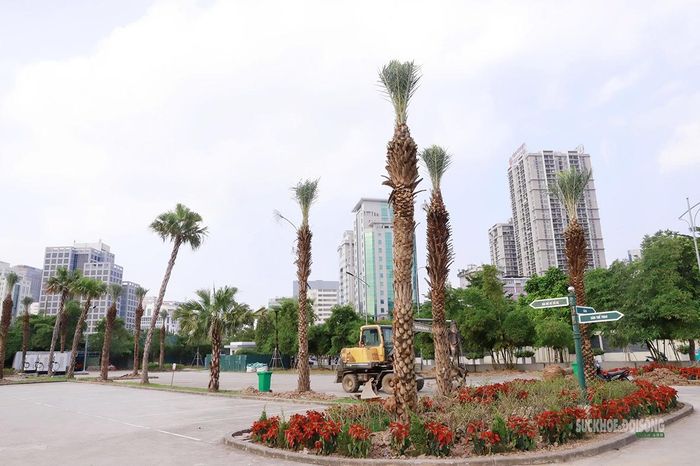  Những cây cảnh được trồng tại Công viên An Hòa, tạo cảnh quan xanh. Ảnh: Tuấn Anh
