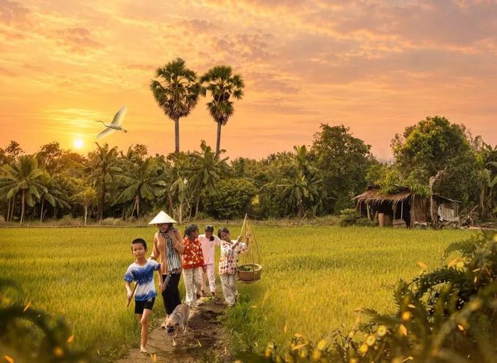 Hình ảnh vùng quê miền Tây đẹp thơ mộng trong MV "Mẹ Cò"