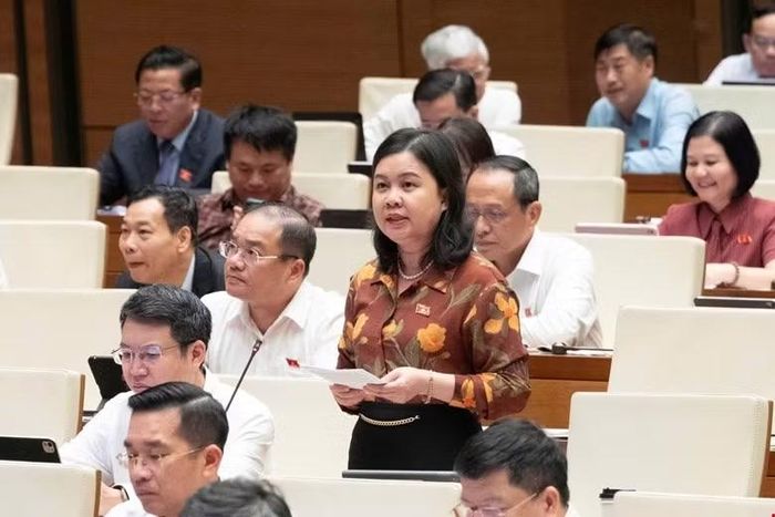 Đại biểu Nguyễn Phương Thủy (đoàn thành phố Hà Nội) thảo luận