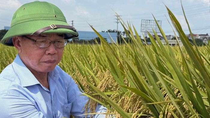 Anh hùng Lao động Trần Mạnh Báo gắn bó với nông nghiệp, nông thôn. (Ảnh: Nhân vật cung cấp)