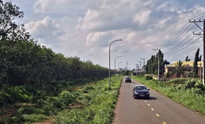 Đường 997, đoạn đi qua xã Xuân Sơn, Thành phố Hồ Chí Minh. (Ảnh: Lê Đình Thìn)