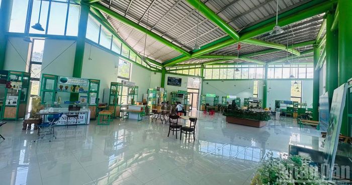 Phiên chợ sâm Ngọc Linh đầu tháng 9/2026 xã Nam Trà My ít gian hàng và vắng khách. (Ảnh: ĐÔNG HUYỀN)