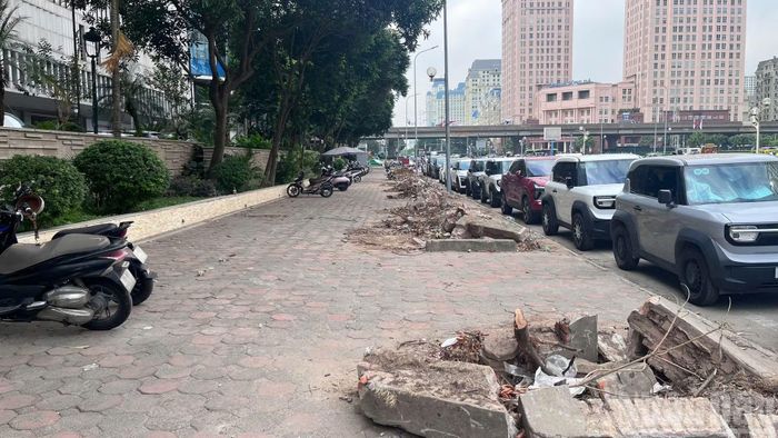 Theo ghi nhận của phóng viên, hàng cây xanh trên các tuyến đường Mễ Trì và Dương Đình Nghệ đang được cắt tỉa, chặt hạ, đánh chuyển để phục vụ thi công hầm chui tại nút giao Mễ Trì-Dương Đình Nghệ-Vành đai 3.