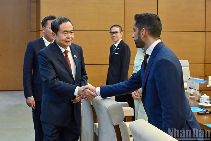 Chủ tịch Quốc hội Trần Thanh Mẫn với lãnh đạo các tổ chức kiểm toán﻿ quốc tế tại cuộc tiếp.