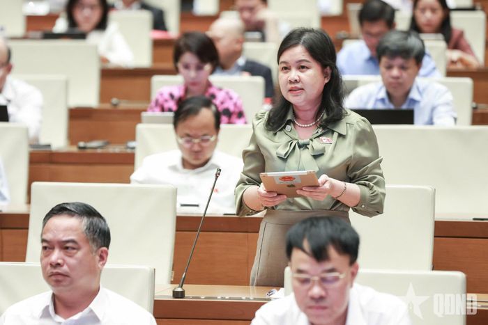 Đại biểu Nguyễn Phương Thủy phát biểu tại hội trường, sáng 27-10. Ảnh: TRỌNG HẢI