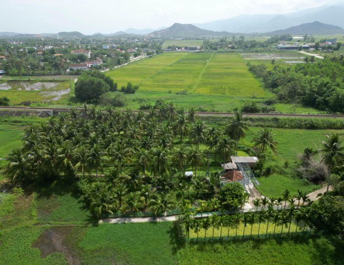  Khu nuôi ốc của anh Trí dần trở thành điểm đến tham quan, học hỏi kinh nghiệm của nông dân 