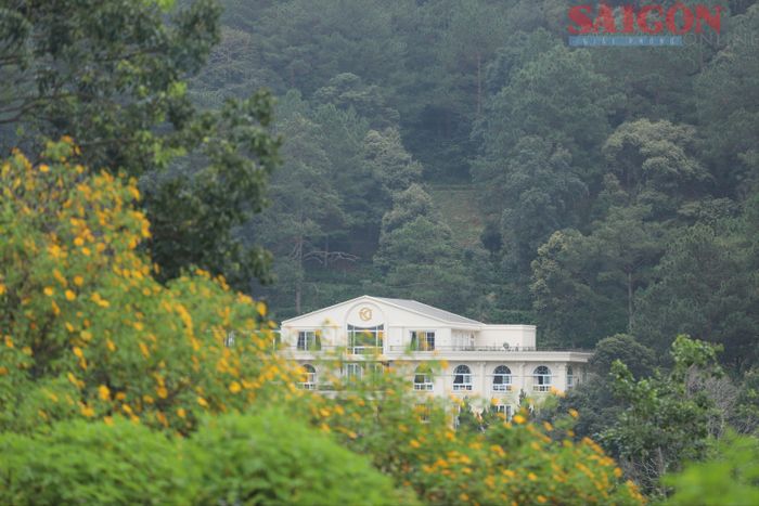 Biệt thự ẩn hiện sau vạt hoa dã quỳ tại Khu du lịch quốc gia hồ Tuyền Lâm. Ảnh: ĐOÀN KIÊN