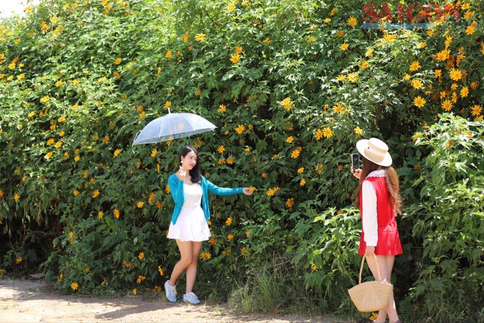 Du khách hoà vào khung cảnh thơ mộng với hoa dã quỳ tại phường Cam Ly - Đà Lạt. Ảnh: ĐOÀN KIÊN