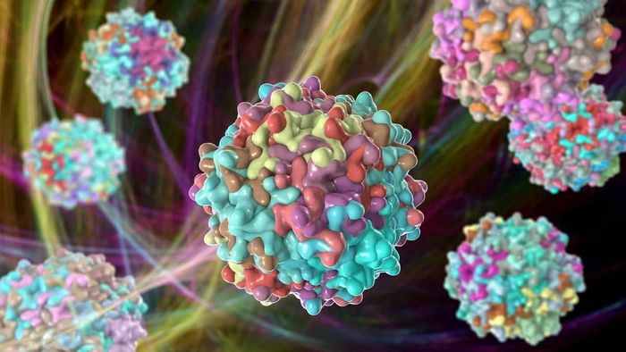 Liệu pháp này sử dụng một phiên bản tổng hợp của virus để đưa một gen chức năng vào tai trong.