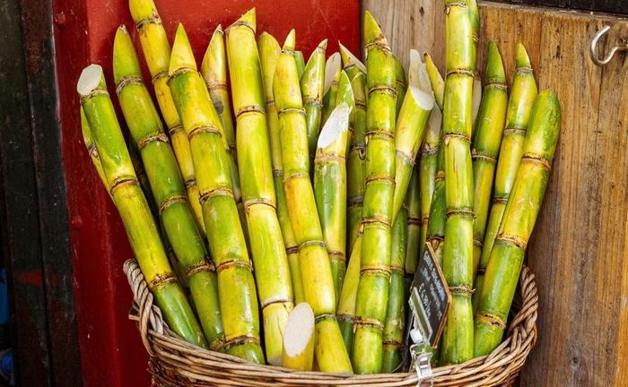 Một cây mía nặng khoảng 120-180 g được ước tính có thể chứa lượng đường tương đương khoảng 24-36 thìa cà phê. Ảnh: Pexels