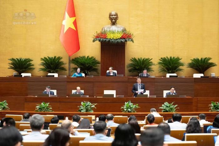 Đại tướng Lương Tam Quang, Bộ trưởng Bộ Công an phát biểu giải trình (ảnh QH).﻿