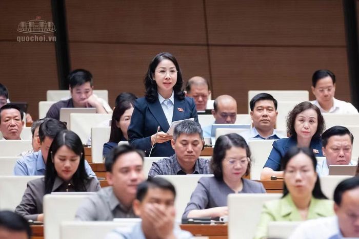 Đại biểu Phan Thị Thùy Linh. Ảnh: QH