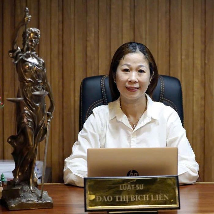Luật sư Đào Thị Bích Liên, Đoàn Luật sư TP.HCM