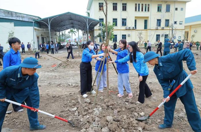 Tuổi trẻ Quảng Ninh trồng cây bảo vệ môi trường.