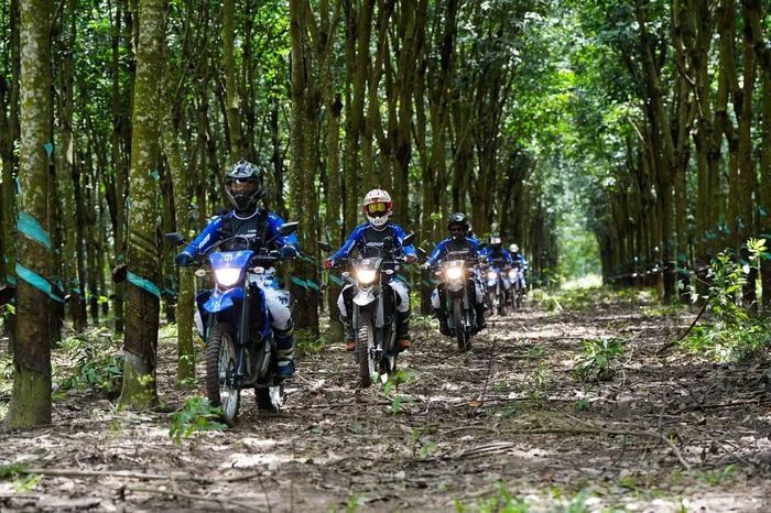 Yamaha WR155R là mẫu xe Dual-Sport 155cc dành cho những người yêu thích khám phá và sẵn sàng chinh phục nhiều dạng địa hình