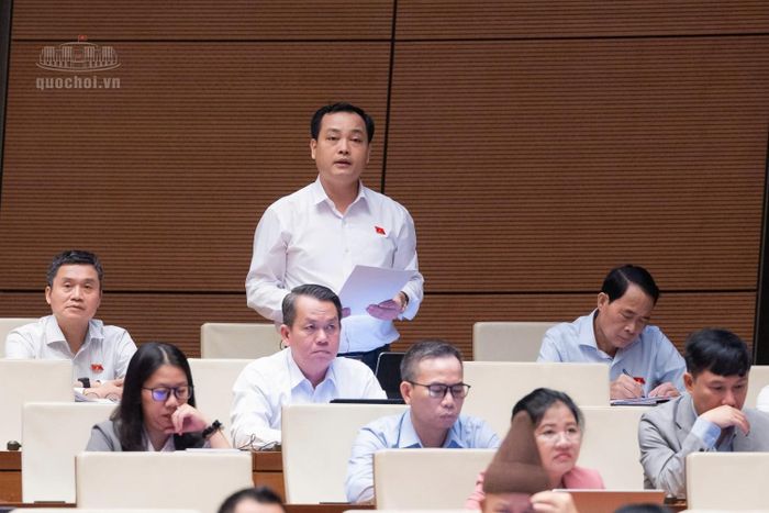 Đại biểu Lê Văn Đông (Đoàn ĐBQH TP HCM) phát biểu tại phiên thảo luận.