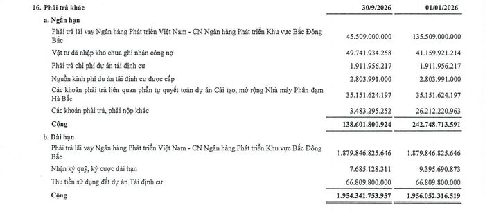 (Nguồn: Báo cáo tài chính quý III/2026 Đạm Hà Bắc)