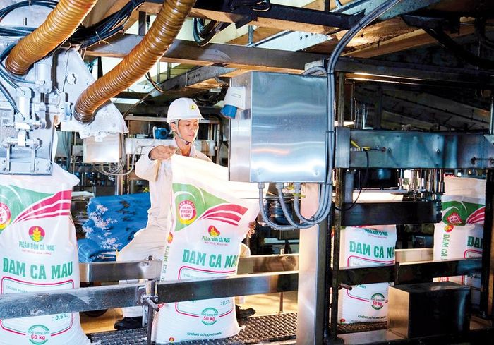 Dây chuyền sản xuất phân bón Cà Mau
