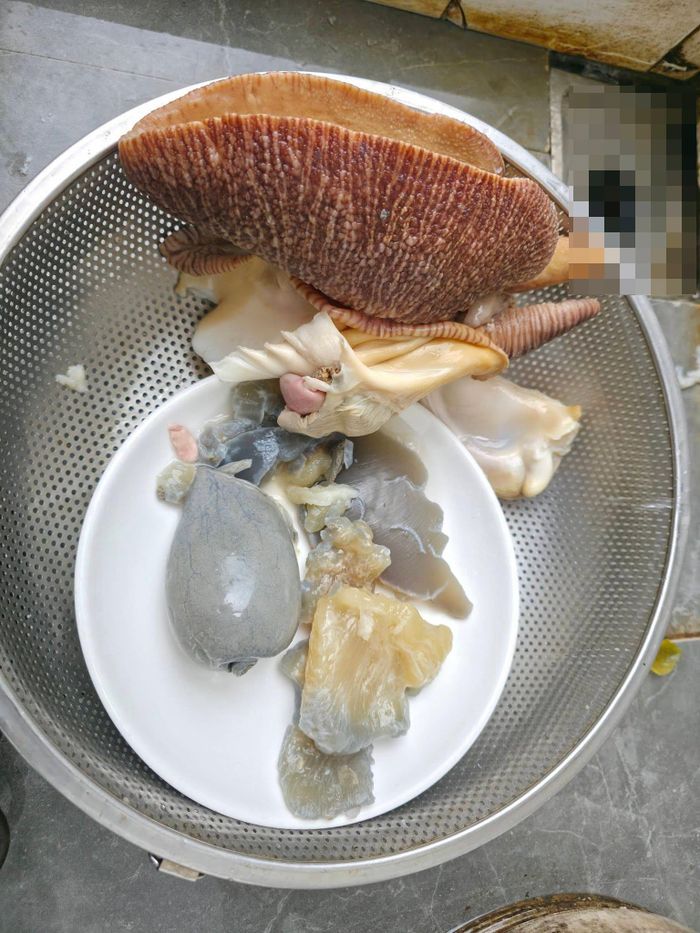 Anh Trà sơ chế con ốc giác nặng 6,5kg. Ảnh: Ngọc Trà Nguyễn