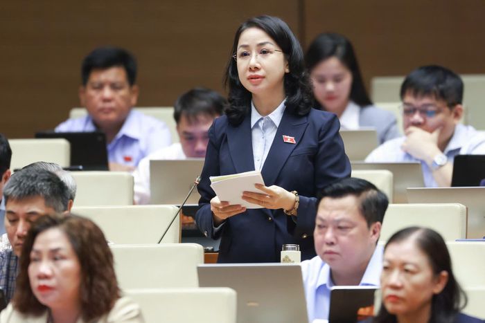 Đại biểu Phan Thị Thùy Linh
